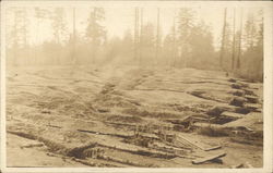 Trenches in No Man's Land Fort Lewis, WA Postcard Postcard