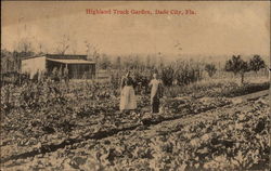 Highland Truck Garden Postcard