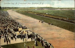 Suburban Day at Sheepshead Bay, Brooklyn Postcard