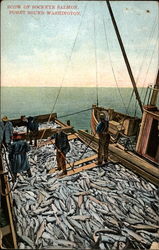 Scow of Sockeye Salmon Postcard