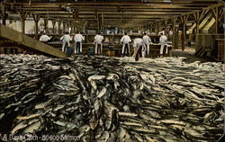 Stock #230962 Thumbnail