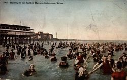 Bathing in the Gulf of Mexico Postcard