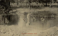 The Old Swimmin' Hole Swimming Postcard Postcard