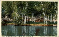 Tents Under Birches, Saranac Lake, Adirondacks New York Postcard Postcard