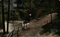 Point Lookout Postcard