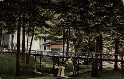 Rustic Bridge Across the Ravine Postcard