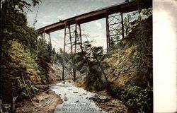 New York Central R.R. Bridge Watkins Glen, NY Postcard Postcard