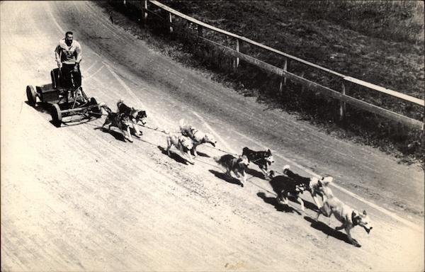 Timberline Huskies Farmington Maine