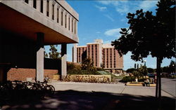 California State University Chico, CA Postcard Postcard