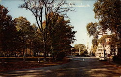 Greetings from Grafton - Common and Business District Postcard