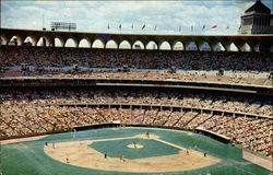 Stock #233004 Thumbnail