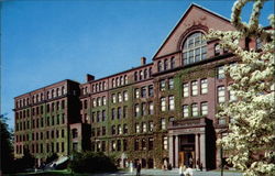 Harvard University Museum Postcard