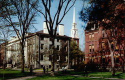 Harvard Yard, Harvard University Postcard