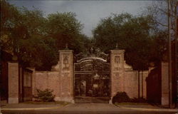 Johnston Gate at Harvard Yard Postcard