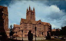 Stock #233281 Thumbnail