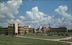 University of Tennessee at Martin Postcard Postcard