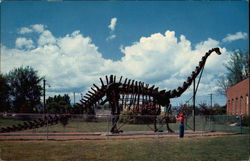 Diplodocus replica Vernal, UT Postcard Postcard
