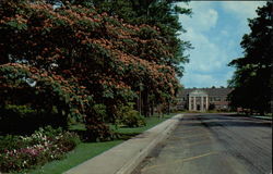 Southeastern Louisiana College Hammond, LA Postcard Postcard