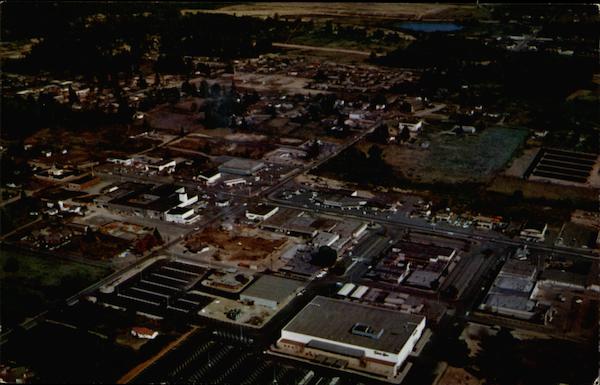 Aerial View of Enterprising Young City Bellevue Washington