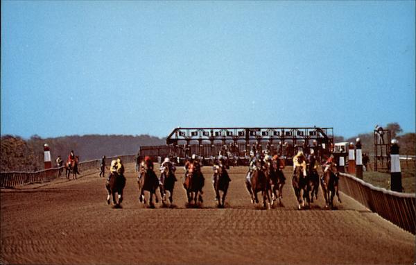 Coming Down the Back Straight Lexington Kentucky Mark L Bryant