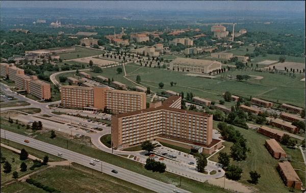 Daisy Field Lawrence Kansas