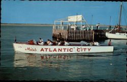 Miss Atlantic City New Jersey Postcard Postcard