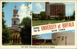Views of State University of New York Campus Postcard