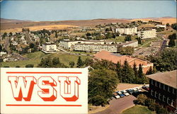 Washington State University Pullman, WA Postcard Postcard
