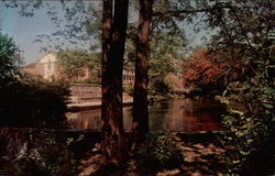 Campus View, Whitman College Walla Walla, WA Postcard Postcard