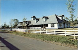 Riding Concessions Barn Lexington, KY Postcard Postcard