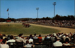 Horse Show, Oglebay Park Wheeling, WV Postcard Postcard