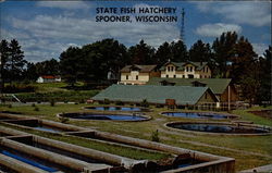 State Fish Hatchery Spooner, WI Postcard Postcard