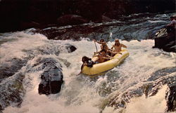 White Water Rafting Postcard