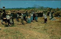 Philippine Harvest Postcard Postcard