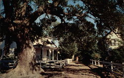 Along the Village Street Ocracoke Island, NC Postcard Postcard