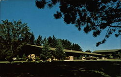 Cassidy's Gold Pine Motor Inn Postcard