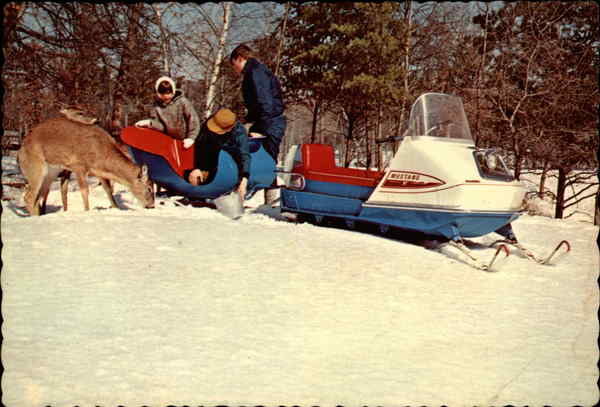 Wintertime is Funtime