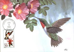 The Ruby Throated Hummingbird and Its Stamp Maximum Cards