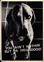 You Ain't Nothin' But a Hounddog! Postcard