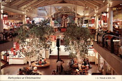 Harborplace at Christmastime Postcard