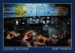 Cattle Auction Postcard