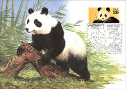 Giant Panda Postcard