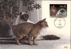 Himalayan and Abyssinian Postage Stamp Postcard