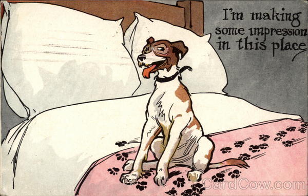 I'm making some impression in this place Dogs