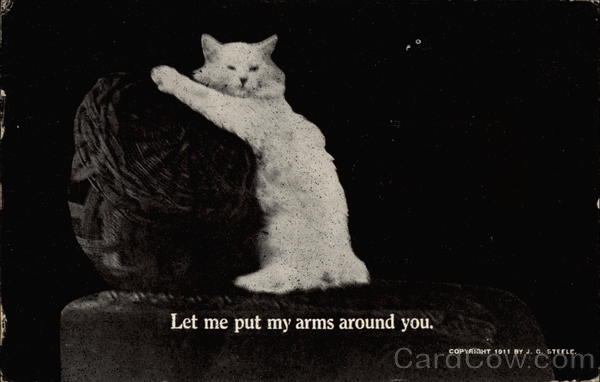 Let me put my arms around you Cats