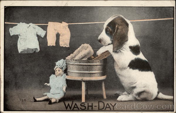 Wash-Day Dogs