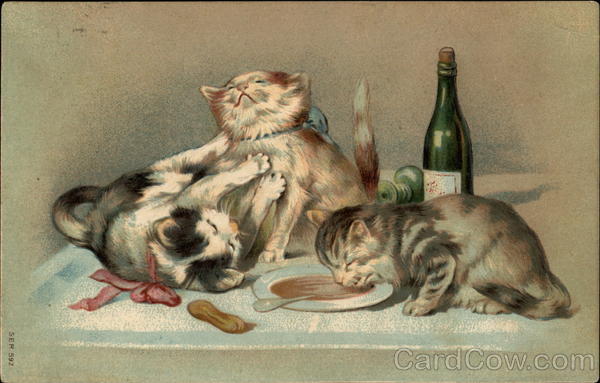 Three cats, with two playing and one sipping from a bowl