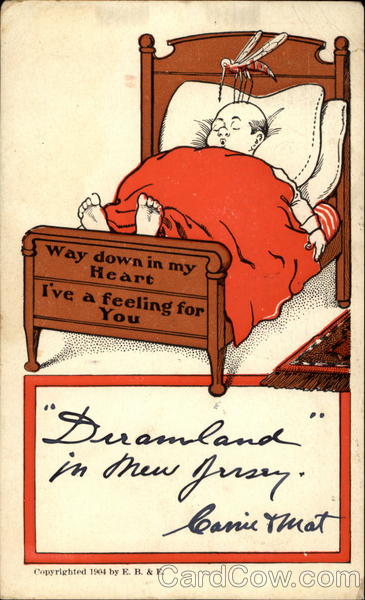 Way down in my heart I've a feeling for you Mosquitos