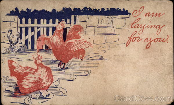 I am laying for you Birds