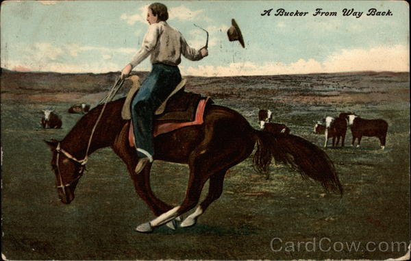 Man on bucking horse Cowboy Western
